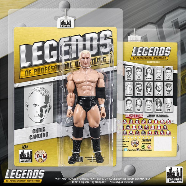 Legends of wrestling store figures