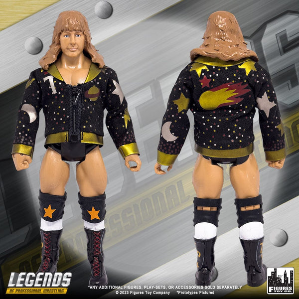 Legends of Professional Wrestling Series Action Figures: Mr