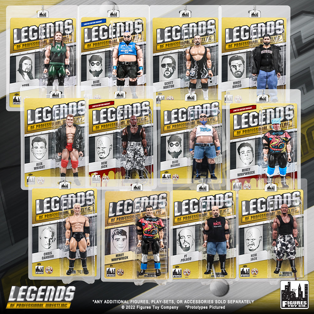 Legends of Professional Wrestling Series Action Figures: Set of 12 Figures